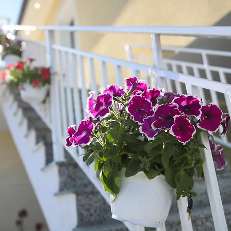 Harmony Vlorë